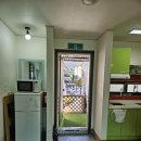 달리애견 이미지