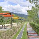 원주리라 이미지