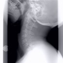 바른척척의원 이미지