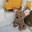 네일드미우