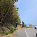 육교 당구장 | 부모님 모시고 여행_강원 고성_속초사잇길 제5길 속초해변길 산책, 외옹치항둘레길, 속초횟집 회가...