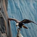 기적을 바라는가? 이미지