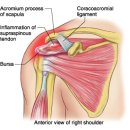 공덕인과한의원 이미지