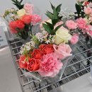 배울로1 이미지