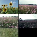 구리시민공원 매점 이미지