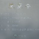 순흥면 읍내리 느티나무 이미지
