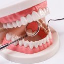 오름치과의원 이미지