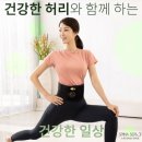 스피루스 | [리뷰/내돈내산] 허리보호대 추천 : 스파이나 써보