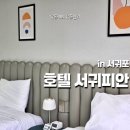 ㈜더세이프렌터카 | 서귀포 호텔 서귀피안 제주 렌트카 더세이프렌터카 솔직 후기