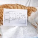 화성동물병원 이미지