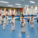 하늘 태권스쿨 이미지