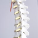 주정형외과의원 이미지