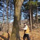 용산좋은습관마취통증의학과의원 네이버블로그