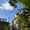 디오션약국 | 나도 간다 경기도 다낭시 1일차 : 여기가 한국이여 베트남이여?