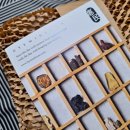 케이지랩 주식회사 | 선물하기 좋은 면역력강화식품 혜민관 매일 녹용스틱