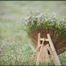 일신스포렉스 이미지