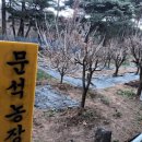 문석농장 네이버블로그