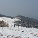 관-비-4-4호 이미지