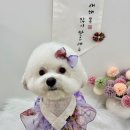 포프리티 이미지