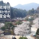 별그리고펜션 이미지