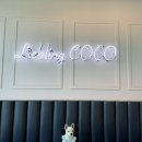 남양별내14 | 쫄보 강아지가 만족한 남양주 별내 애견 카페 <리블링코코> 평일 방문 후기