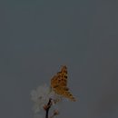 별노래방 이미지