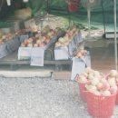 장택농장 이미지