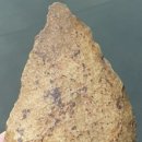 [남양주 역사문화 아카데미] 지역 박물관의 역할과 기능 이미지