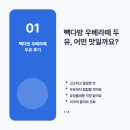 경향다방 | 빽다방 우베라떼 두유 후기, '유당불내증도 걱정 없었어요'