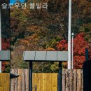 슬로우인풀빌라