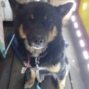 백제당약국 이미지