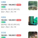 나나펜션 이미지