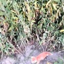 달맞이농장 이미지