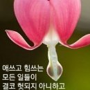 소나기의 유래! 이미지