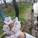 해미약국 이미지