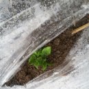 정남진농장 이미지