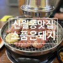 소품은돼지 - 동작구 상도로15길 143 | 소품은돼지