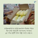 도매유통 이미지