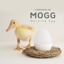 [공동A/S센터 제품소개]올빼미컴퍼니(MOGG)