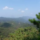 신천초교 이미지