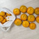 동네반찬 | 노크 앱 후기 – 동네 과일·정육·반찬 배달, 첫 주문 5천원 할인까지!