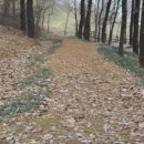 청석마을9단지 정류장(상행) | 2010년에 만난 아름다운 길과 자연의 풍경