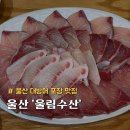 울산 남구 삼산동 대방어 포장 울림수산 후기