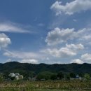 구곡촌두부 이미지