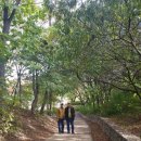 가을탐방(가족) 이미지