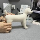 마루동물병원 이미지