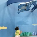 국립해양생물자원관 씨큐리움 이미지