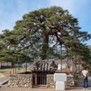 통일전관리사무소 이미지