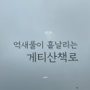 게티하우스 이미지