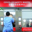 양지-19 이미지
